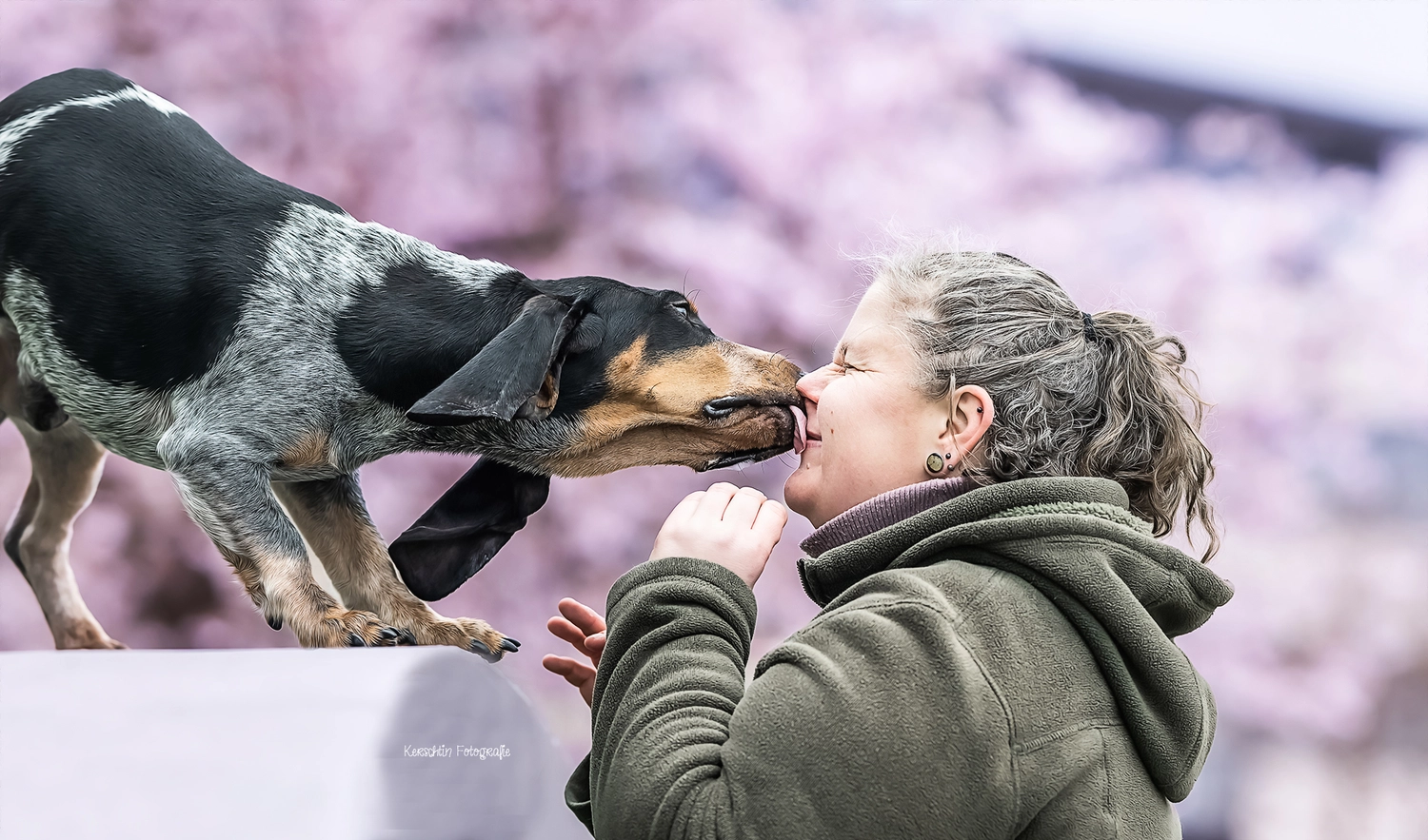 Canis-Optimus - Hundetraining - Melanie Pühl